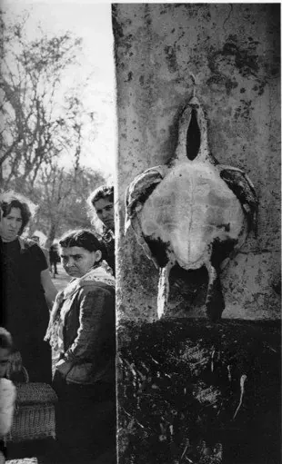 Primeiros Registos Documentados