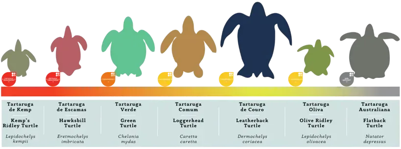 Classificação de risco pela IUCN
